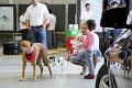 TdoT2011_OK (76)